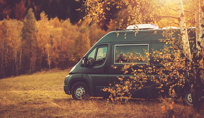 Autoutilitare disponibile în stoc